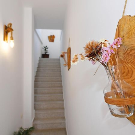 City Nest Shkodër Dış mekan fotoğraf